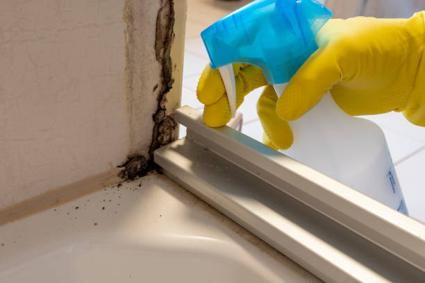 Best Commercial Mold Remediation in Hawthorne, NJ