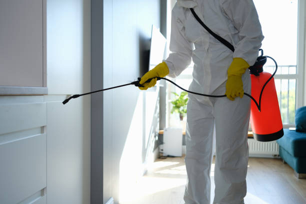 Best Kitchen Mold Remediation in Hawthorne, NJ
