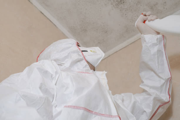 Best Insurance-Related Mold Remediation in Hawthorne, NJ