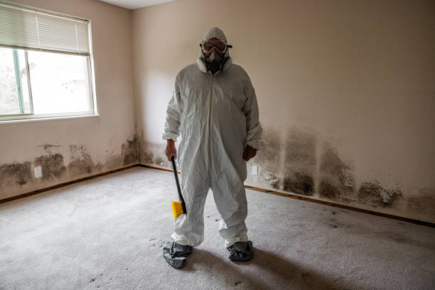 Best HVAC Mold Remediation in Hawthorne, NJ